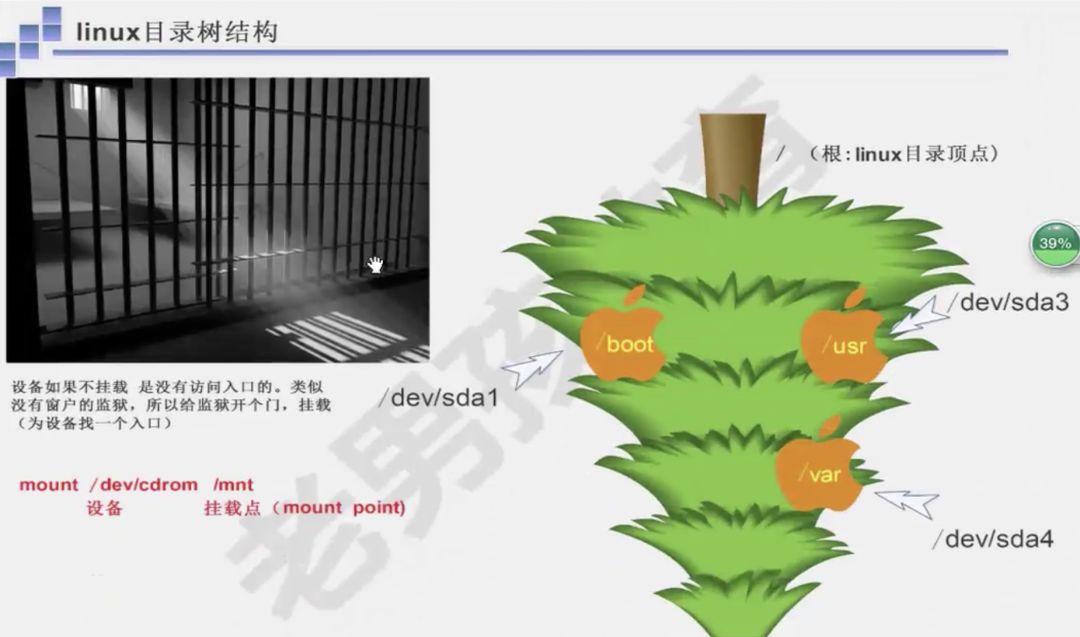 linux目录的结构及含义_linux目录结构是什么_linux系统目录结构