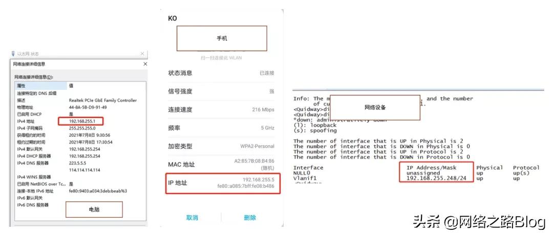 解析域名的协议_网络层之IP协议，它带来了哪些功能，真的能顺着网线找到？