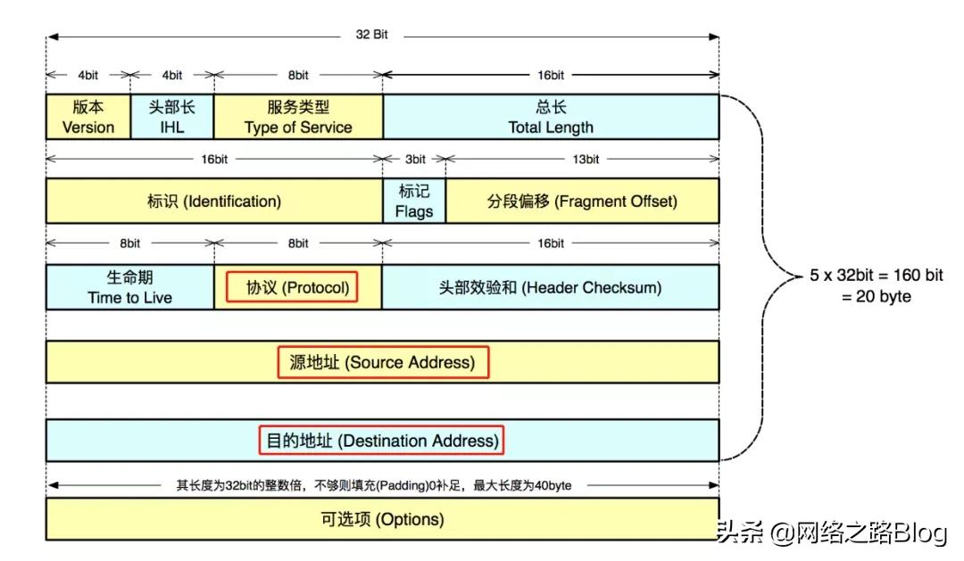 域名解析协议使用的传输层协议_什么协议用于域名解析_解析域名的协议