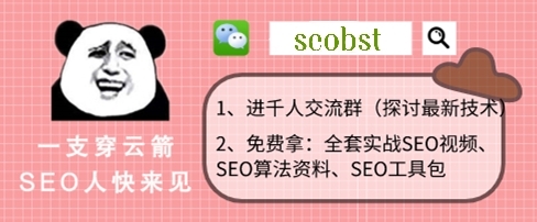 搜索引擎优化 seo_搜索引擎优化seo什么意思_引擎搜索优化