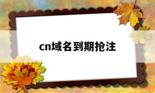 cn域名到期抢注(cn域名过期多久可以重新注册),cn域名到期抢注(cn域名过期多久可以重新注册),cn域名到期抢注,信息,免费,域名注册,第1张