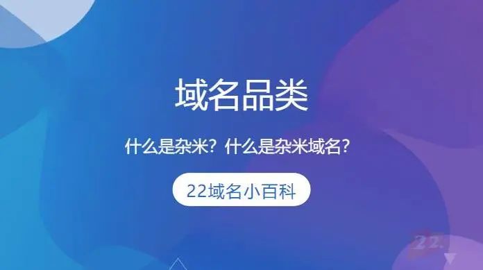 域名查询是什么_域名小百科：什么是杂米域名？