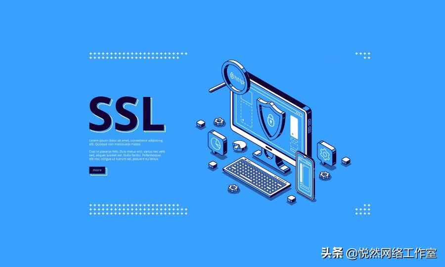 免费域名注册申请_悦然建站分享：二级域名如何申请SSL证书？