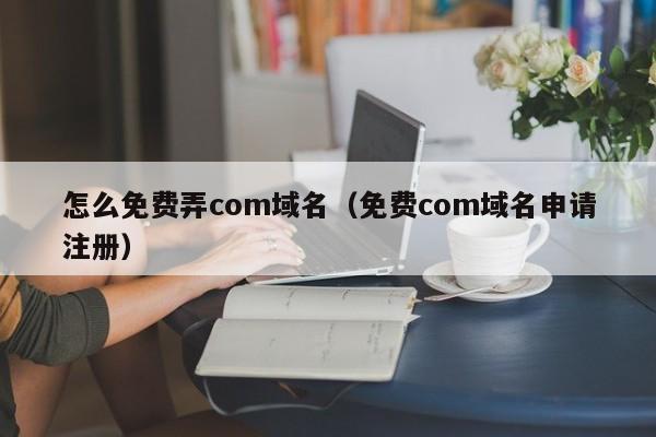 域名注册.∫godaddy_怎么免费弄com域名（免费com域名申请注册）