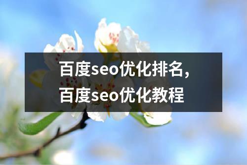 百度seo优化排名,百度seo优化教程