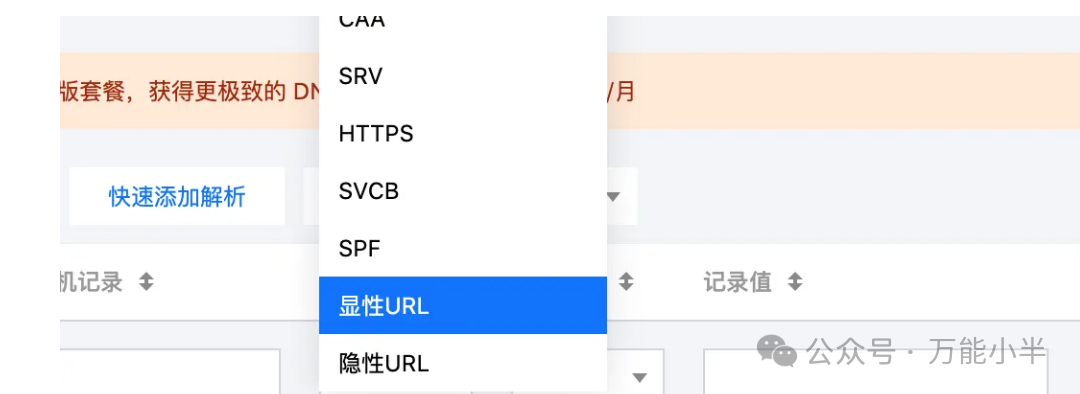 解析域名地址_域名解析中是什么意思_域名解析 显性url