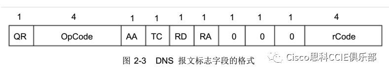 域名反向解析查询_ip反向域名解析_域名反向解析命令