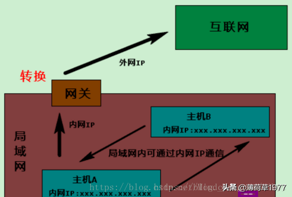 域名解析内网ip_域名内网解析不了_域名内网解析