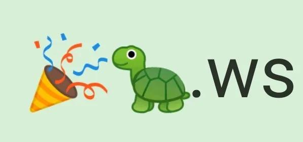 域名注册whois_ws域名注册_域名注册万维网