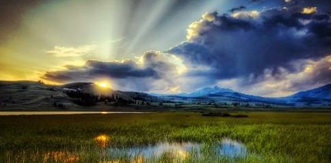 域名注册证书是什么_域名注册证_一级域名注册