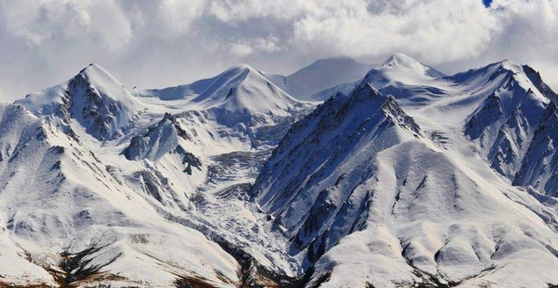 域名注册证_一级域名注册_域名注册证书是什么