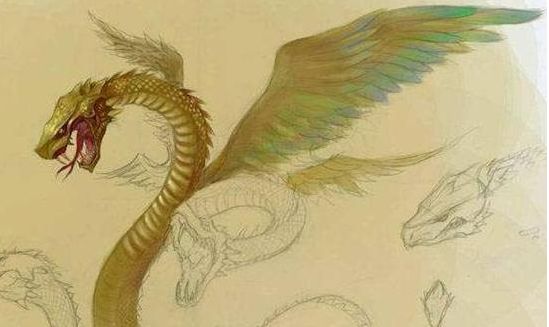 域名注册证书是什么_域名注册证_一级域名注册