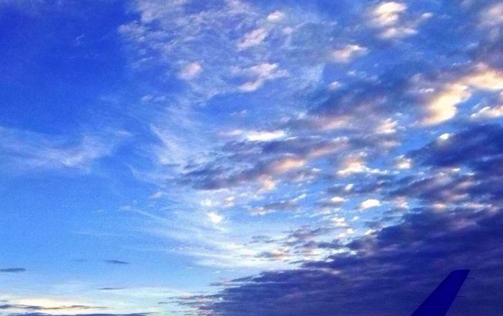 域名注册证书是什么_域名注册证_一级域名注册