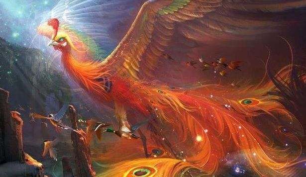 一级域名注册_域名注册证_域名注册证书是什么