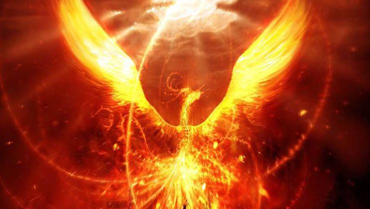 一级域名注册_域名注册证_域名注册证书是什么