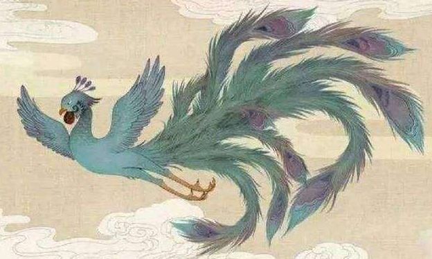 域名注册证_一级域名注册_域名注册证书是什么