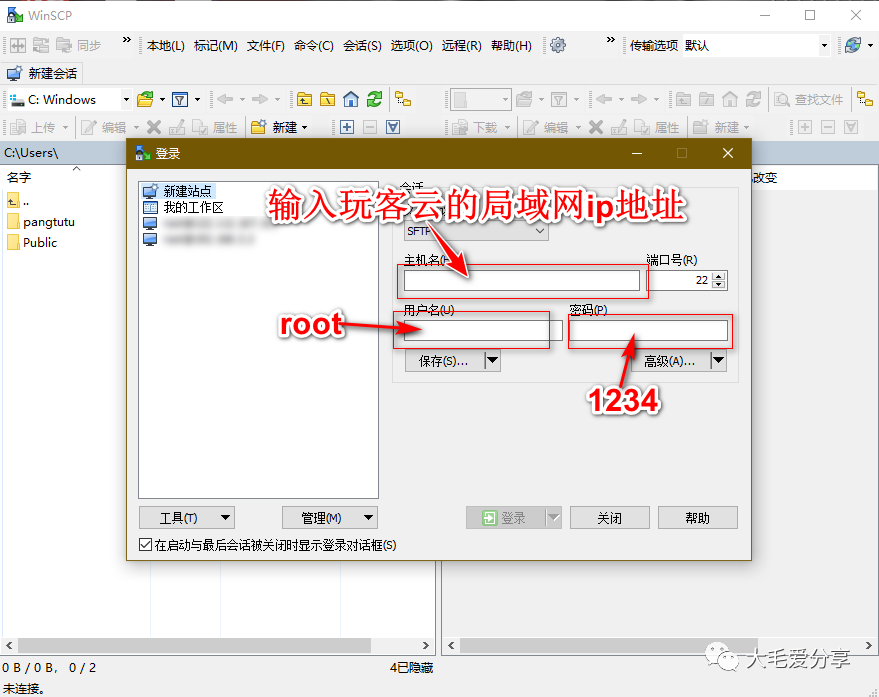 花生壳域名解析不稳定_花生壳的域名解析_花生壳域名解析教程