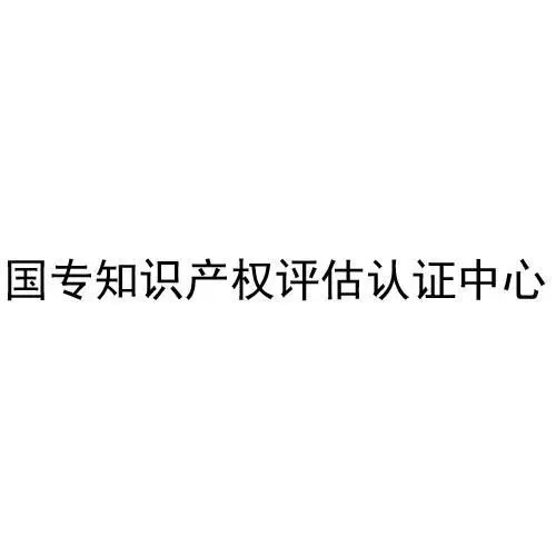 知识产权评估备案查询官网（知识产权评估认证中心）