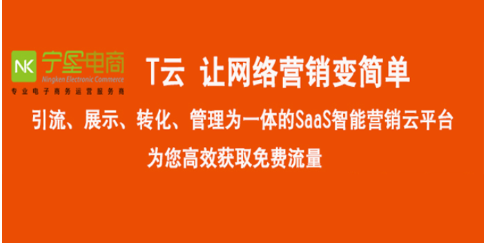 推广优化网站排名seo_盐池seo网络推广优化「宁夏中网科技电子商务供应」