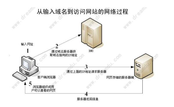 域名解析查询_f3322域名(f3322域名解析)