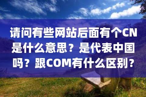 com和cn是什么意思？（探究com.cn域名后缀的演化历程与意义）