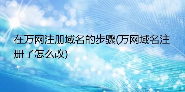 万网域名注册查询网(如何查询万网域名注册帐号)