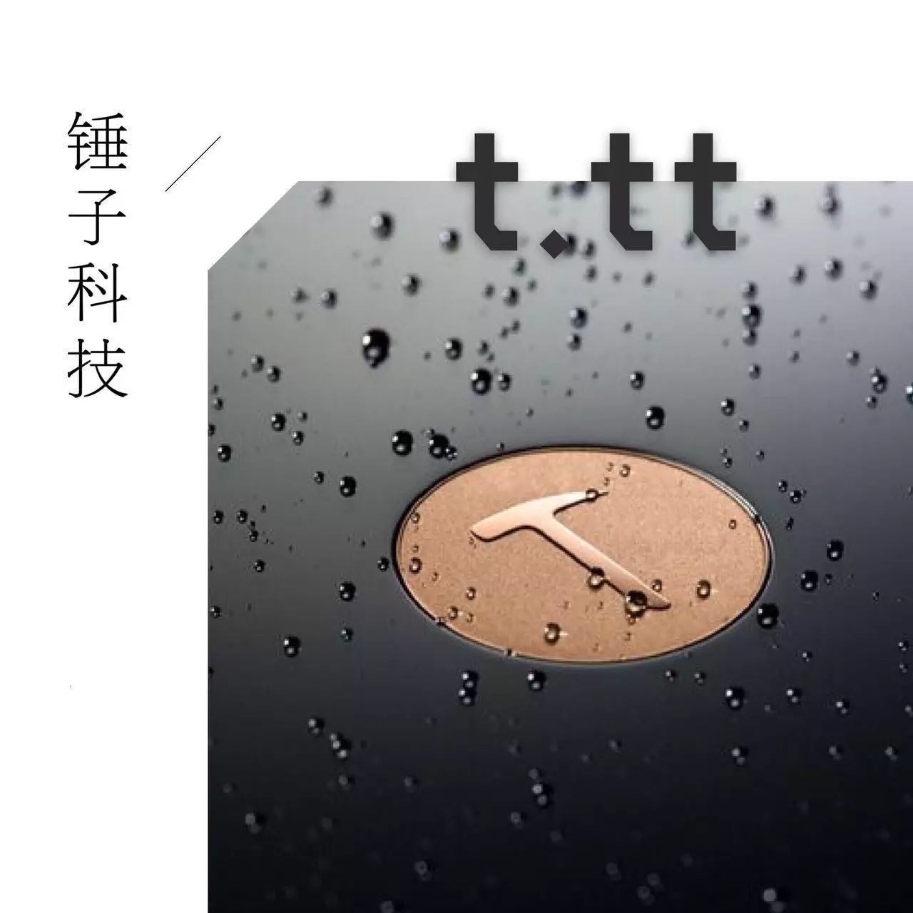 域名注册tiktok_域名注册tiktok教程_tt域名注册