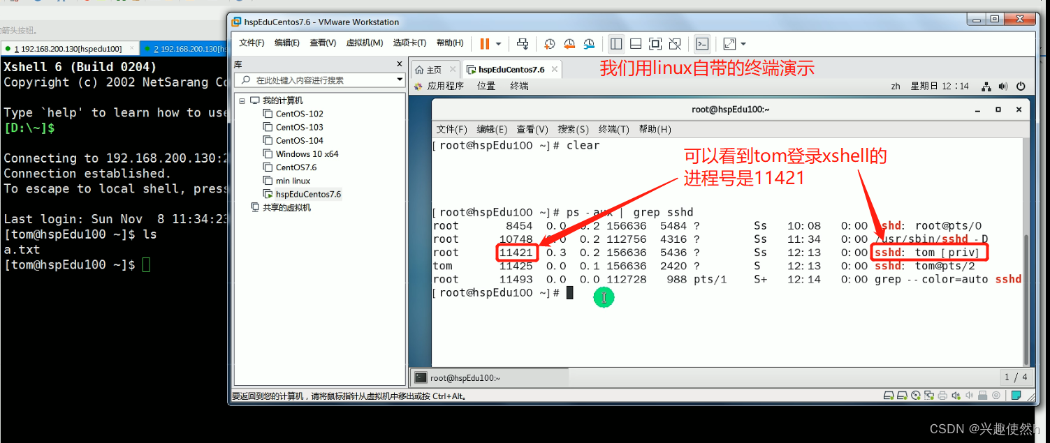 域名查询网_域名查询ip_linux 根据ip查询域名