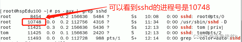 域名查询网_linux 根据ip查询域名_域名查询ip