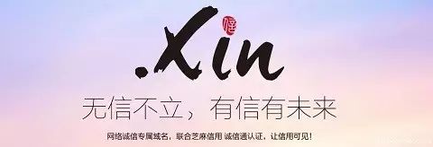 域名抢注网站_万网已过，西部又来，是谁把原始股推向了浪头？