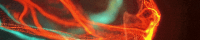 阿里云开发者大会2013_阿里华为跻身全球十大数据库厂商