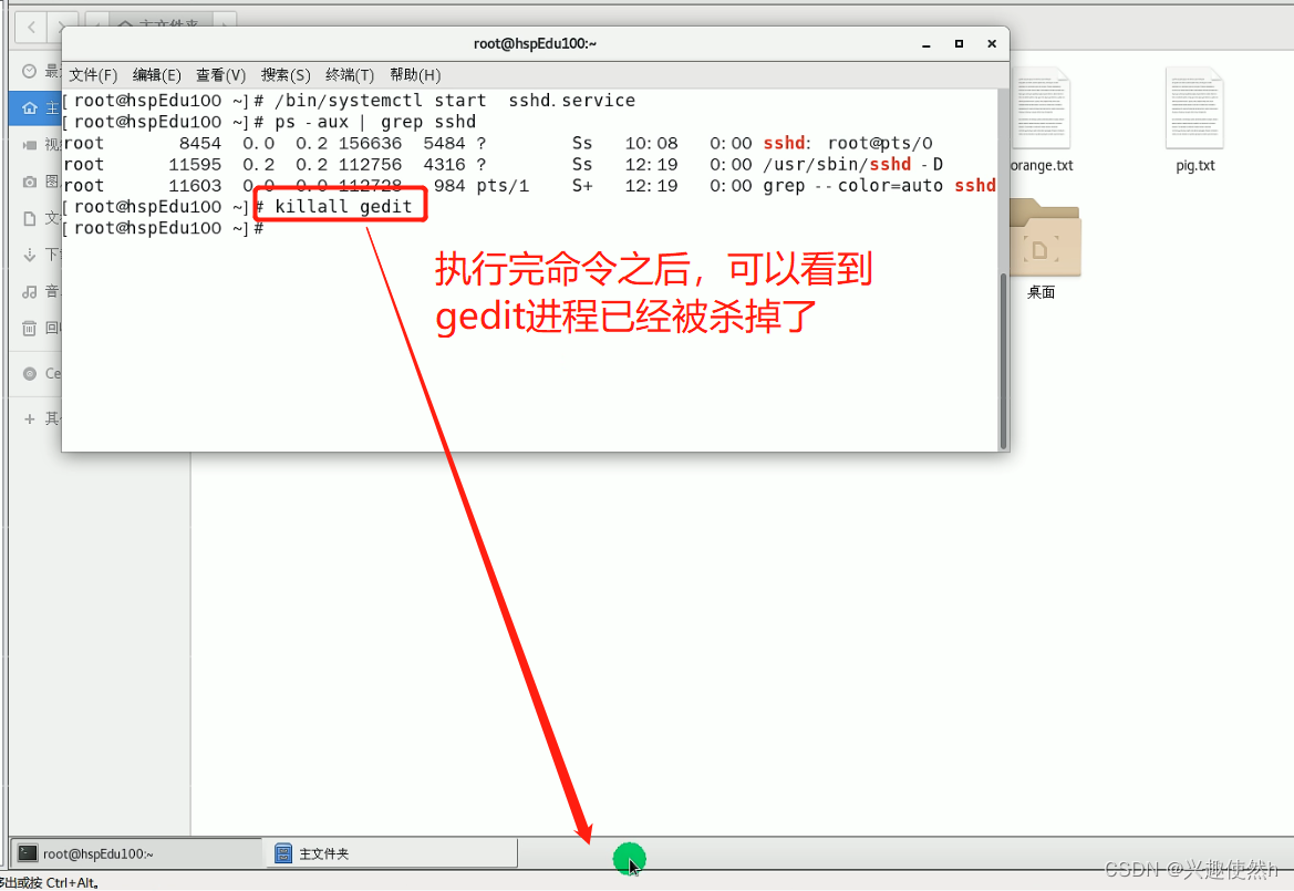 域名查询ip_linux 根据ip查询域名_域名查询网