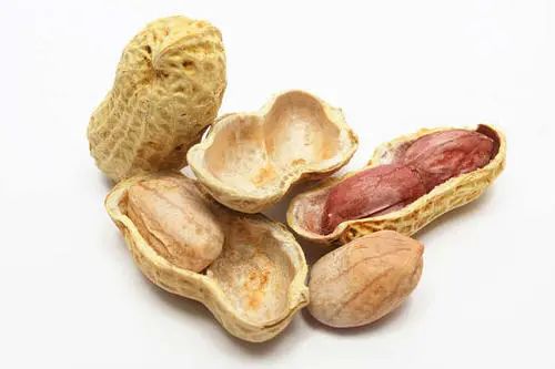 花生壳域名解析ipv6_花生壳动态域名不稳定_新花生壳动态域名解析软件