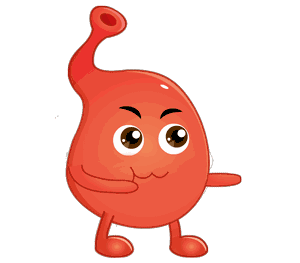 阿里云vps可以搭建ss吗_阿里云vps如何购买_阿里云vps使用教程