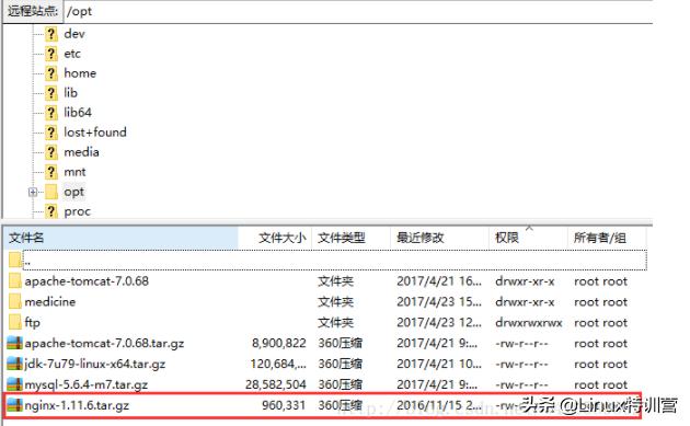 linux 设置域名解析_域名解析设置ipv4优先_域名解析设置