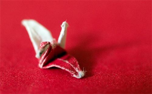 域名投资与域名争议_域名品牌价值_域名企业形象