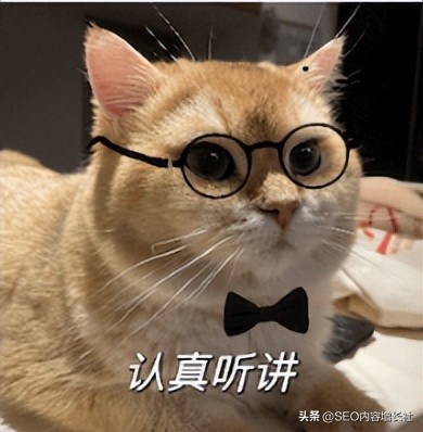 全域全渠道SEO优化_网站前端SEO优化解析：代码、标签、性能，一篇搞定!