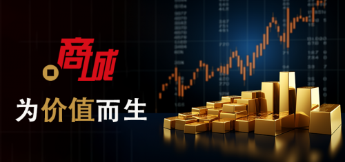 工程审计中文域名优化_造价咨询商城域名推广_中文域名备案查询