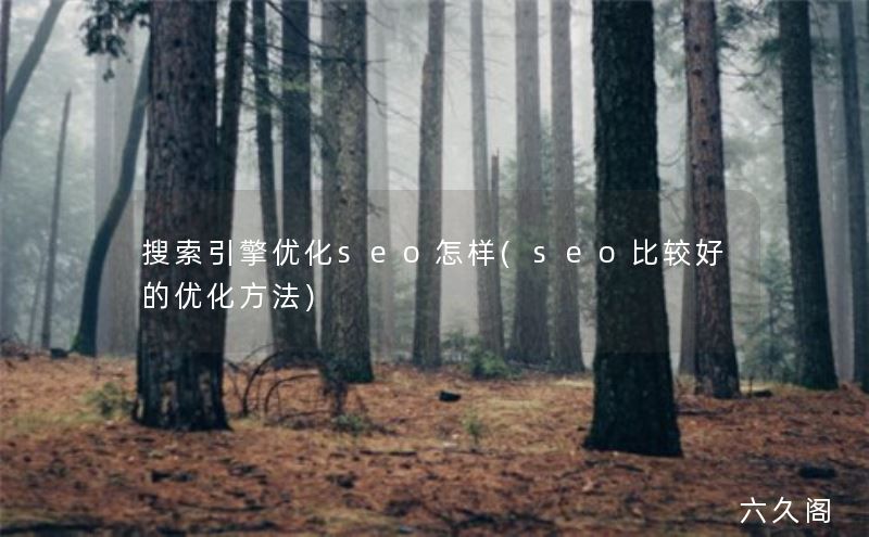 SEO优化方法_搜索引擎优化seo怎样(seo比较好的优化方法)