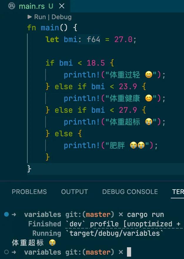 Rust if表达式_html 条件判断语句_Rust loop循环
