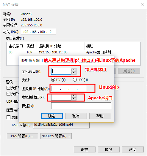 Apache服务器配置_Linux下Apache文件共享_apache 共享文件夹