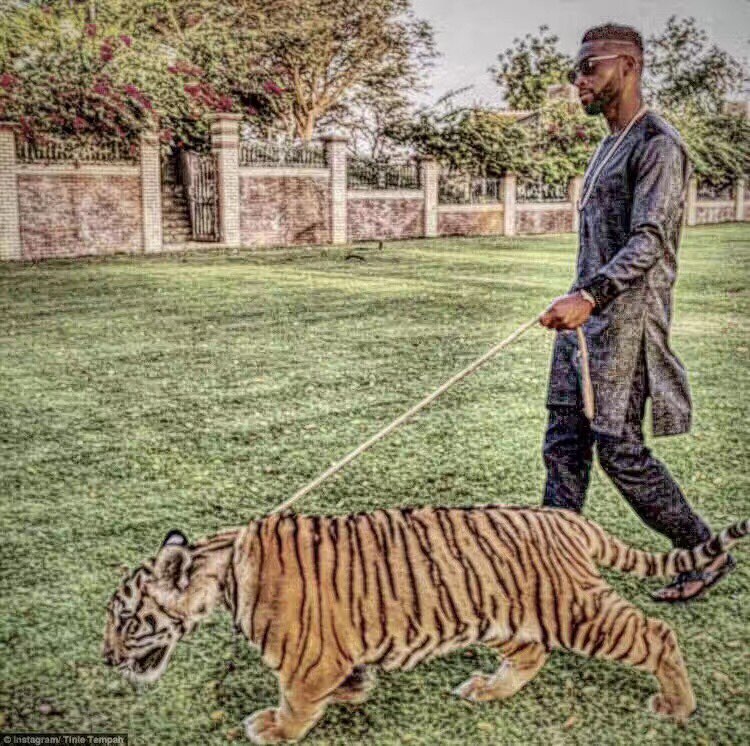 awesome-python资源列表_python html_python人工智能命理资料合集