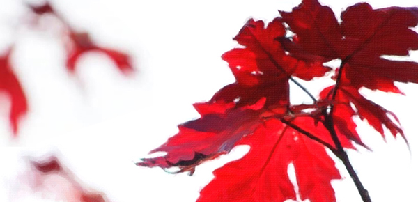 python运行html文件_python怎么运行html文件