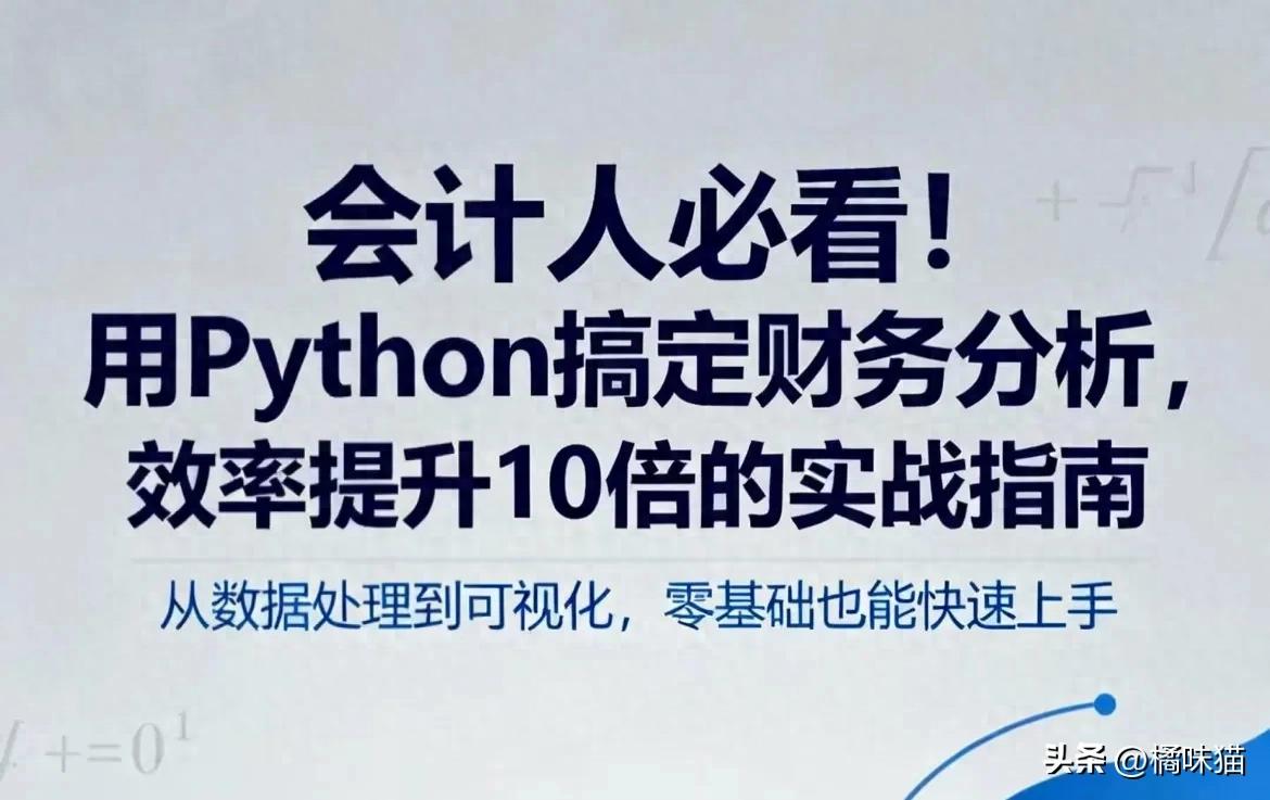 会计学Python_会计人必看！用Python搞定财务分析，效率提升10倍的实战指南