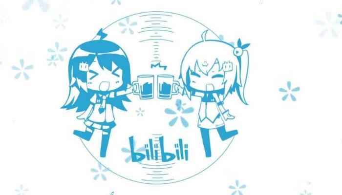 B站二次元历史发展_B站与N站A站关系_bilibili域名解析错误